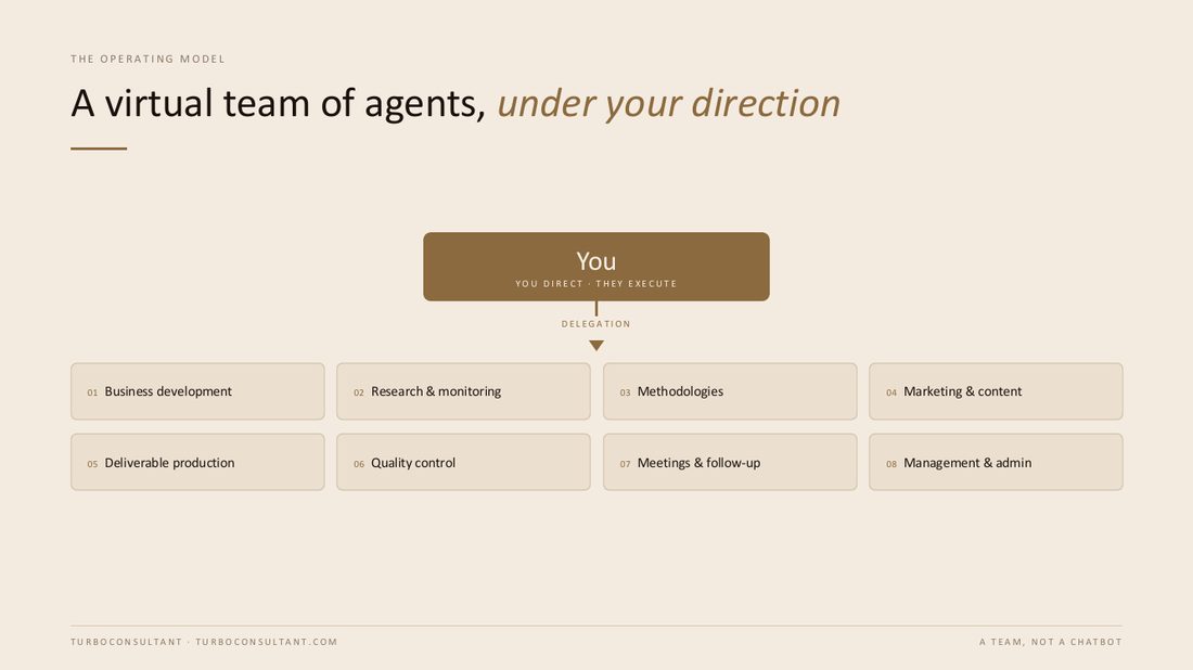 The operating model